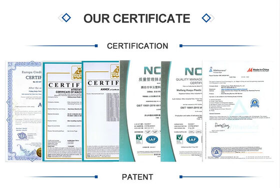Machine Dimension 8x55x7M Plastic Pallet Machine Designed for Continuous Pallet Production in Warehousing and Logistics
